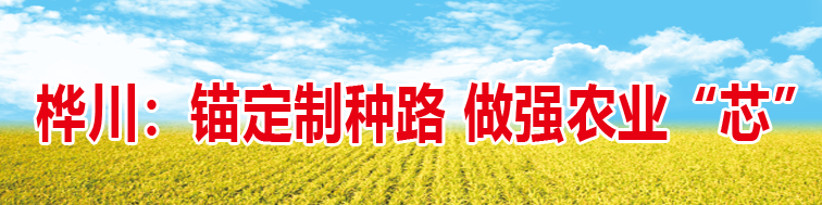 富尔农艺：为我国粳稻产业装上更多中国“芯”